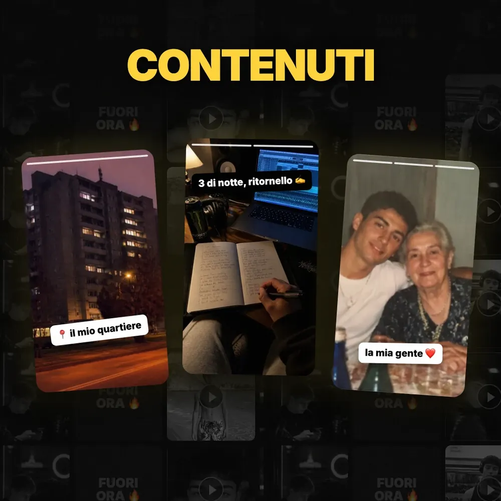 Contenuti